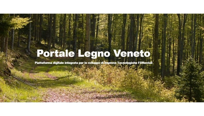 È attiva e funzionante la piattaforma digitale “Portale Legno Veneto”.